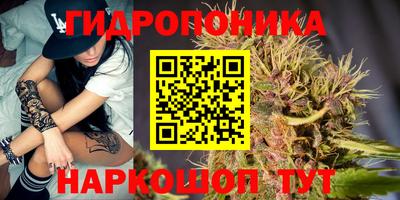 МДПВ Будённовск